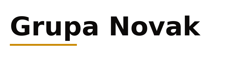 Grupa Novak logo